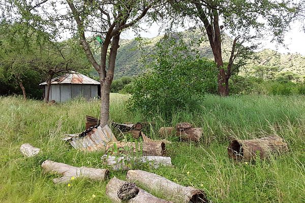 Die ersten Bienenstöcke des geplanten Friedensdorfes: traditionell aus Holz hergestellt werden ‎sie in den Bäumen befestigt.‎